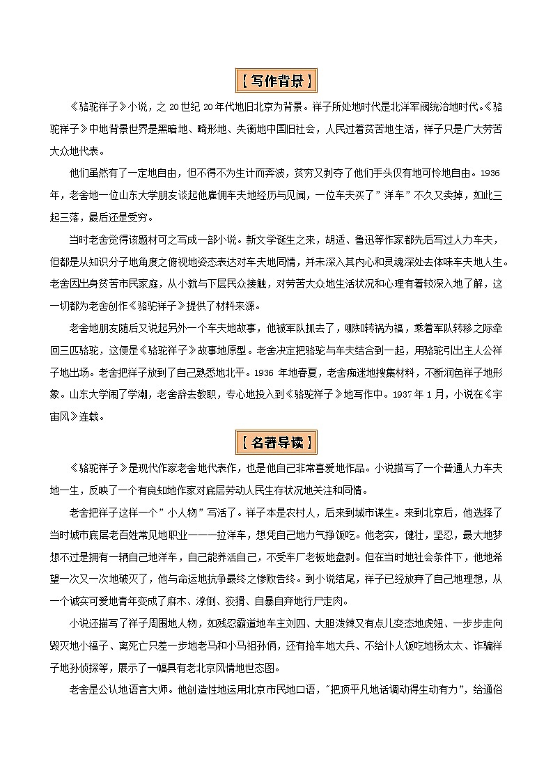 2025年中考语文复习知识清单专题11《骆驼祥子》《海底两万里》(8份思维导图+2部名著梳理+5点阅读技巧+5点复习方法)(原卷版+解析)第3页