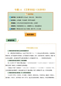 2025年中考语文复习知识清单专题14《艾青诗选》《水浒传》(6份思维导图+2部名著梳理+突破易错易混3法+名著解题4法)(原卷版+解析)