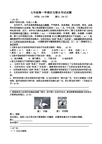 人教版七年级语文第一学期期末考试试题（含答案）（适用于山东）