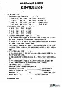 四川省达州市渠县四川省渠县中学2024-2025学年九年级上学期11月期中语文试题