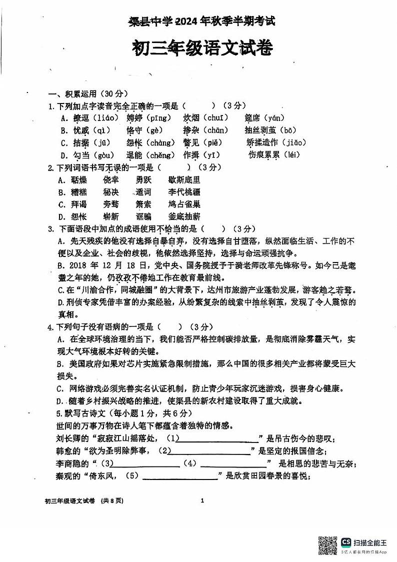 四川省达州市渠县四川省渠县中学2024-2025学年九年级上学期11月期中语文试题第1页