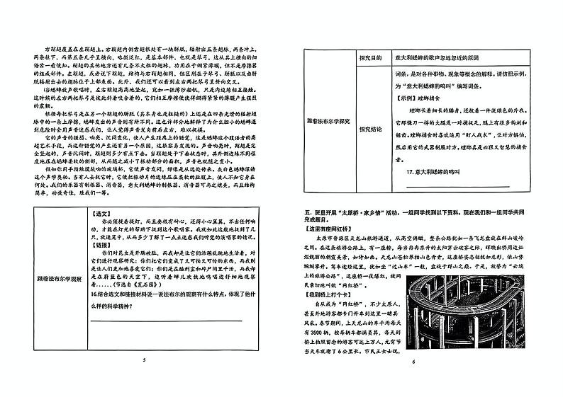 山西省太原市小店区山西大学附属中学校2024-2025学年八年级上学期12月月考语文试题第3页