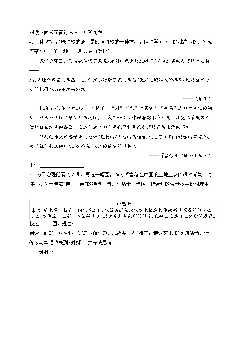 江苏省泰州市泰兴市2024-2025学年九年级上学期期中语文试卷(含答案)第2页