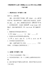 河南省南阳市内乡县第一教育集团2024-2025学年七年级上学期期中 语文试题（含解析）