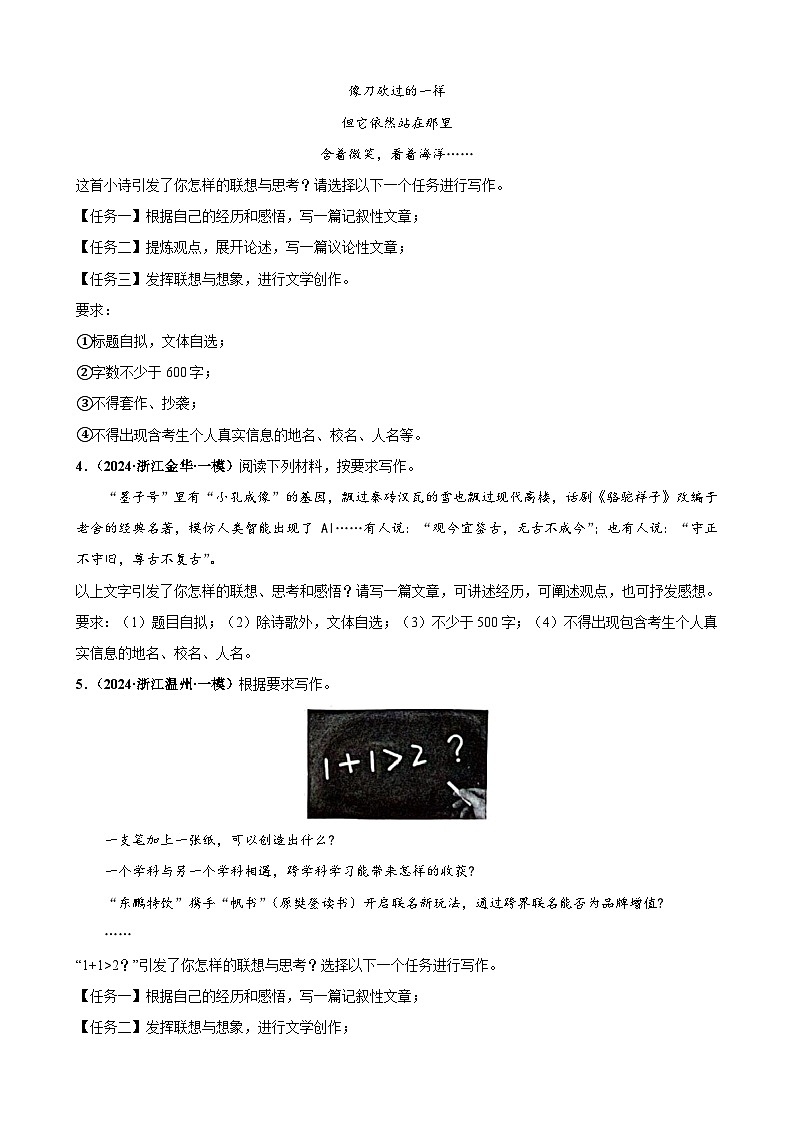 中考语文二轮复习讲练测(浙江专用)写作版块综合测试(练习)(原卷版+解析)第2页