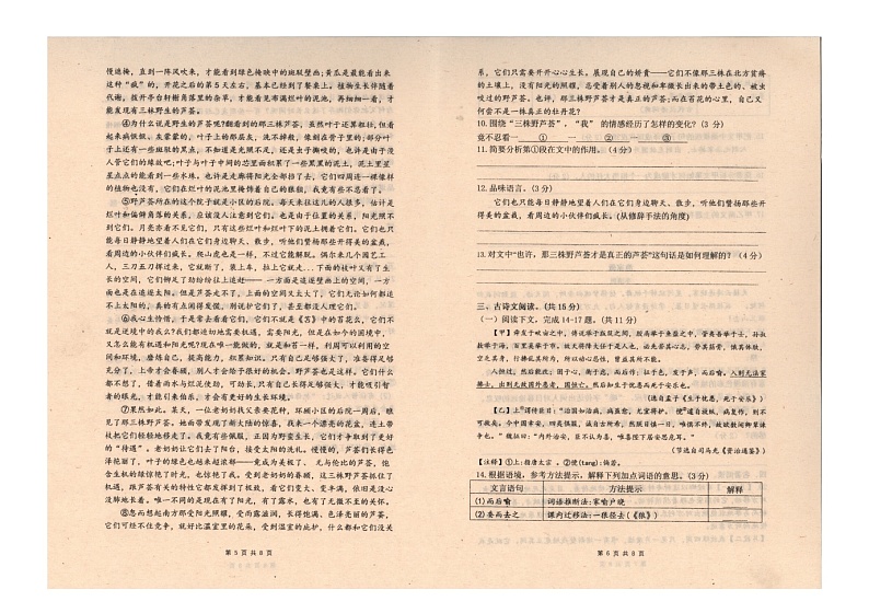 河南省驻马店市西平县第一初级中学2024-2025学年八年级上学期12月月考语文试题第3页