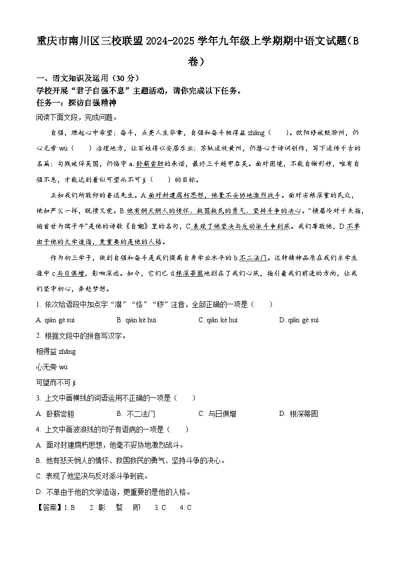 重庆市南川区三校联盟2024-2025学年九年级上学期期中语文试题（B卷）第1页