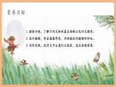 【新教材核心素养】部编人教版语文七上第四单元 写作 思路要清晰 课件+教学设计