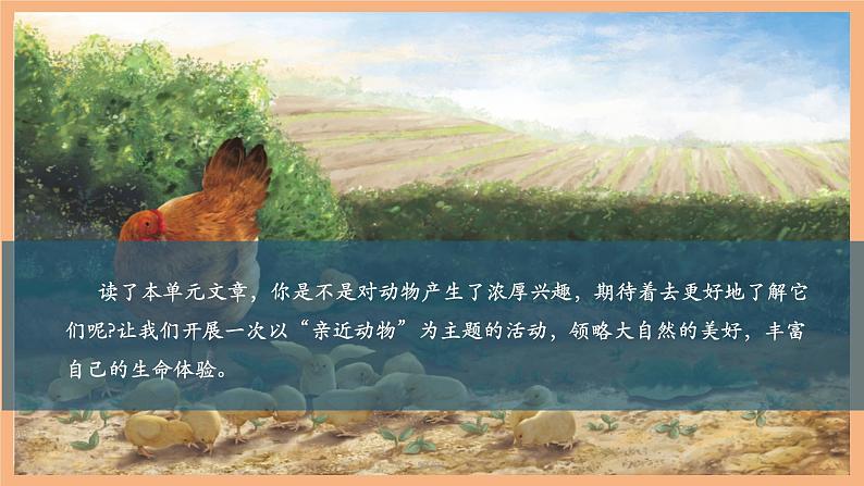 第五单元 任务二 亲近动物，丰富生命体验 课件第3页