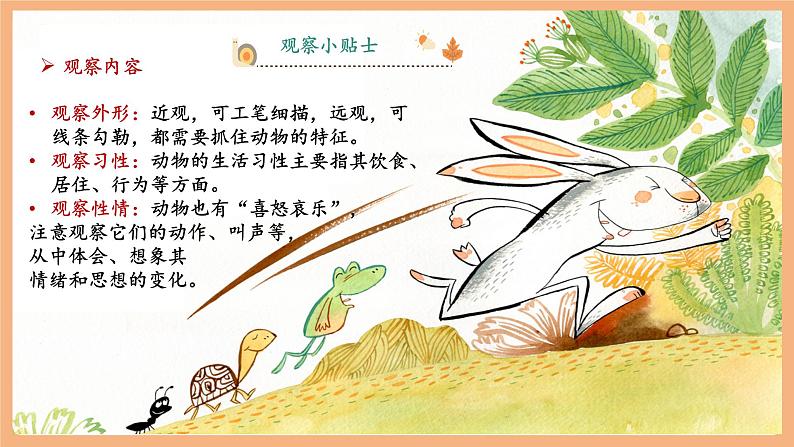 第五单元 任务二 亲近动物，丰富生命体验 课件第7页