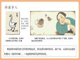 【新教材核心素养】部编人教版语文七上第18课 我的白鸽 课件+教学设计
