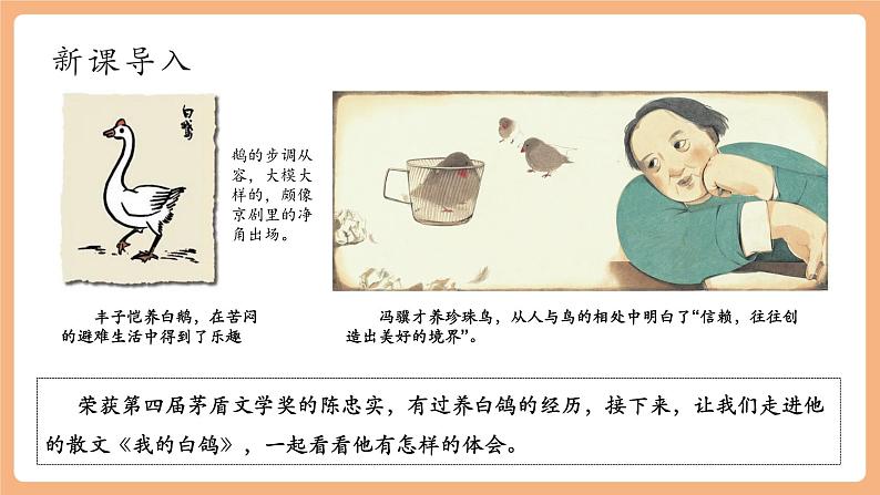 第18课 我的白鸽 课件第2页