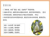 【新教材核心素养】部编人教版语文七上第18课 我的白鸽 课件+教学设计