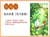 【新教材核心素养】部编人教版语文七上第18课 我的白鸽 课件+教学设计