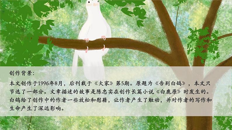 第18课 我的白鸽 课件第7页