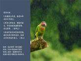 【新教材核心素養(yǎng)】部編人教版語(yǔ)文七上第3課 雨的四季 課件+教學(xué)設(shè)計(jì)+素材