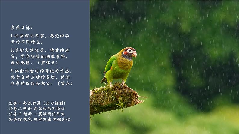 第3课 雨的四季 课件第4页