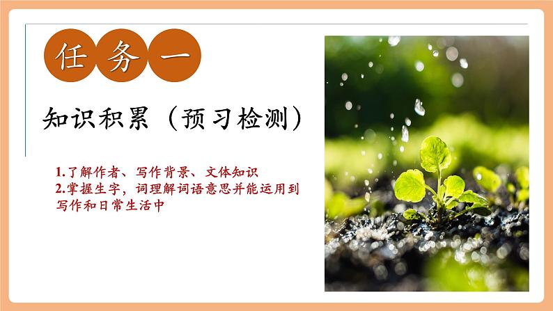 第3课 雨的四季 课件第5页