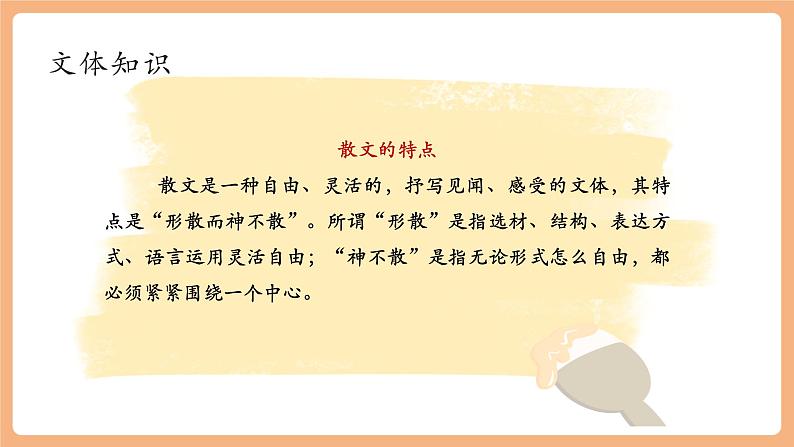 第5课 秋天的怀念 第1课时 课件第8页