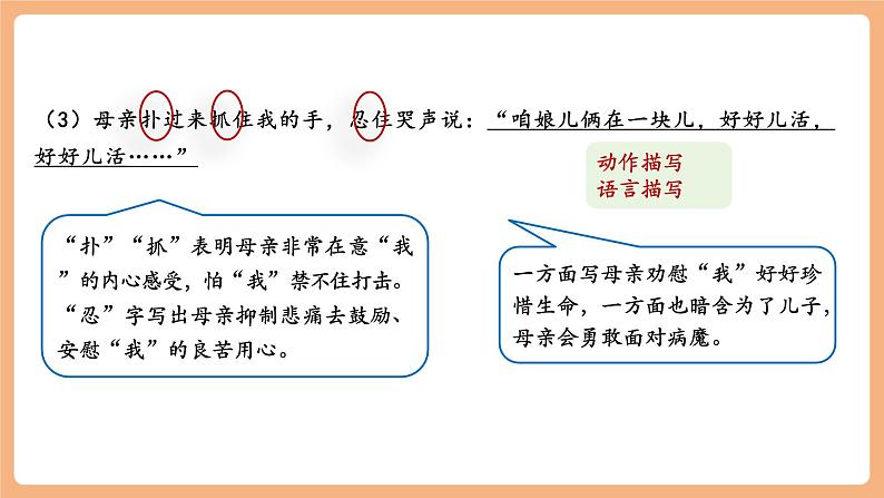 第5课 秋天的怀念 第2课时 课件第8页