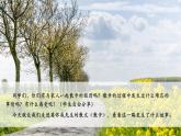【新教材核心素養(yǎng)】部編人教版語(yǔ)文七上第6課 散步 第1課時(shí) 課件+教學(xué)設(shè)計(jì)+素材