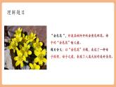 【新教材核心素養(yǎng)】部編人教版語文七上第7課 散文詩兩首 金色花 課件+教學(xué)設(shè)計+素材