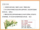 【新教材核心素养】部编人教版语文七上第11课 再塑生命的人 第1课时 课件+教学设计+素材