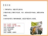 【新教材核心素养】部编人教版语文七上第17课 猫 第1课时 课件+教学设计+素材
