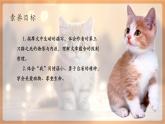 【新教材核心素养】部编人教版语文七上第17课 猫 第2课时 课件+教学设计+素材