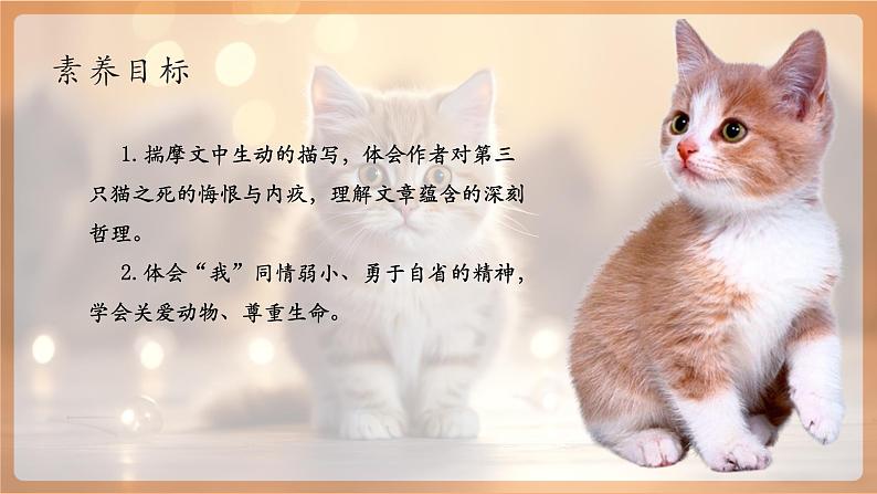 第17课 猫 第2课时 课件第2页