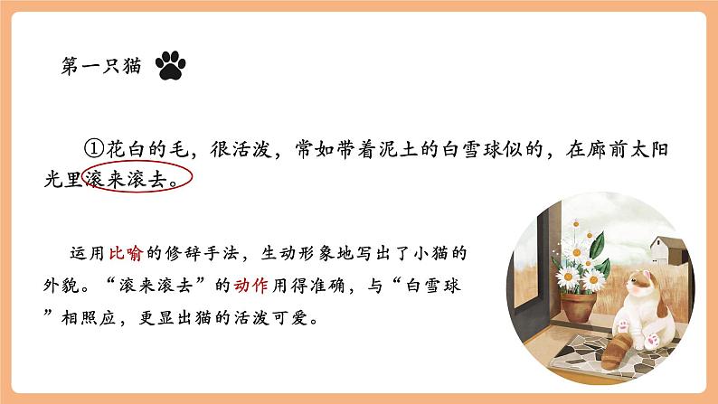 第17课 猫 第2课时 课件第4页