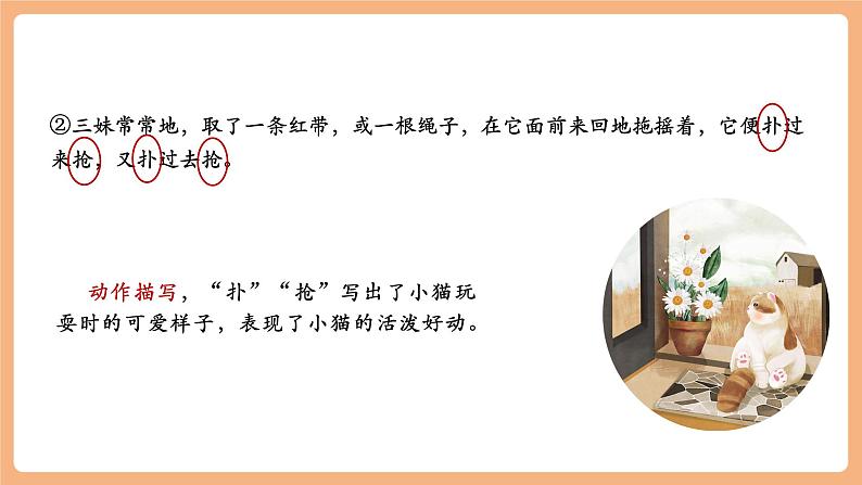 第17课 猫 第2课时 课件第5页