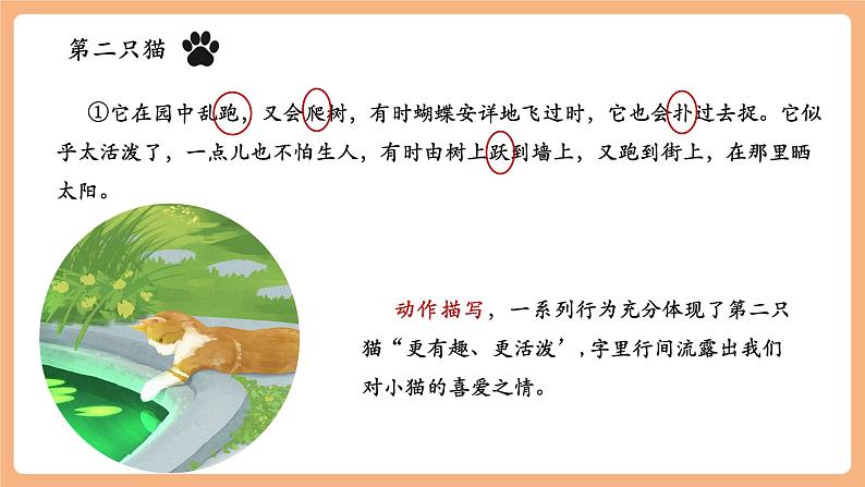 第17课 猫 第2课时 课件第8页