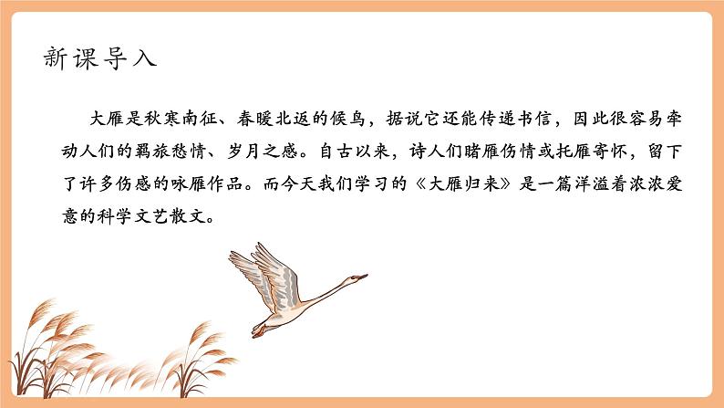 第19课 大雁归来 第1课时 课件第2页