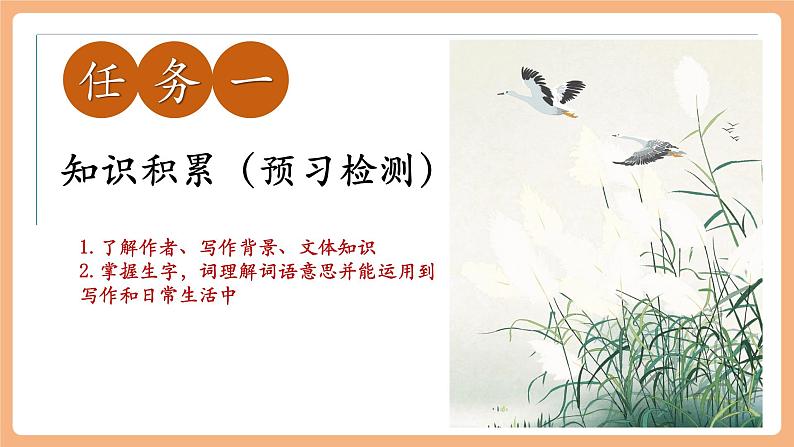 第19课 大雁归来 第1课时 课件第5页