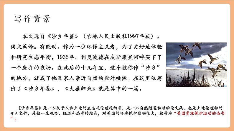 第19课 大雁归来 第1课时 课件第7页