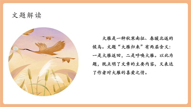 第19课 大雁归来 第1课时 课件第8页