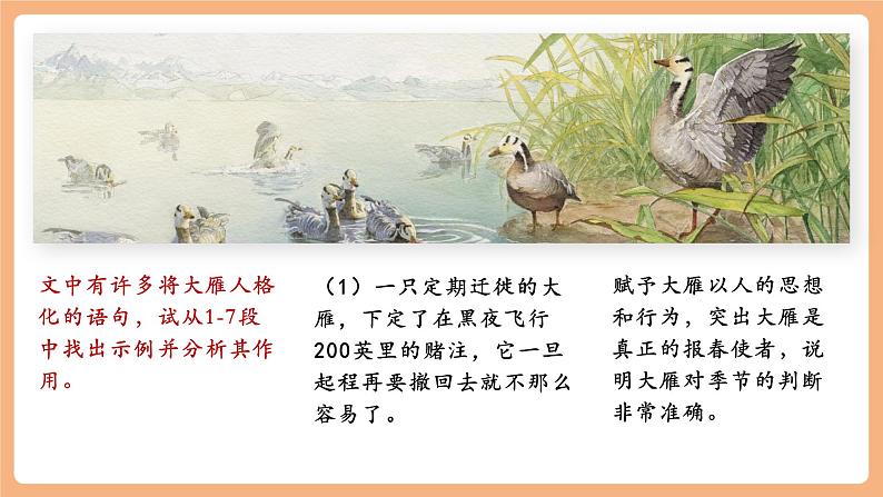 第19课 大雁归来 第2课时 课件第3页