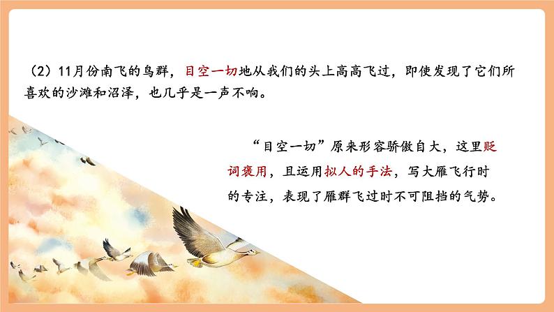 第19课 大雁归来 第2课时 课件第4页