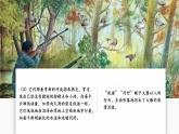 【新教材核心素養(yǎng)】部編人教版語文七上第19課 大雁歸來 第2課時 課件+教學(xué)設(shè)計+素材