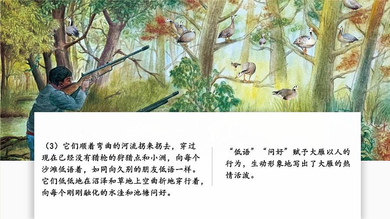 第19课 大雁归来 第2课时 课件第5页