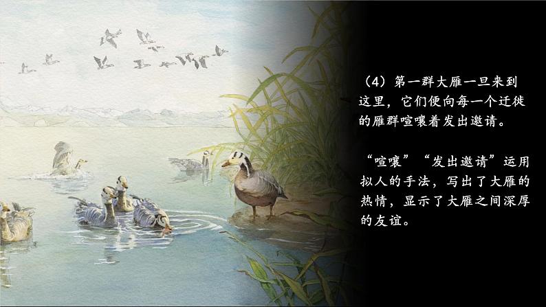 第19课 大雁归来 第2课时 课件第6页