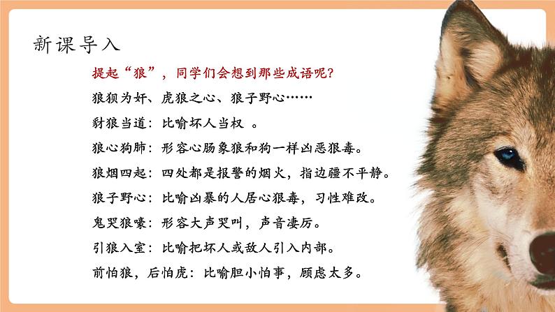 第20课 狼 课件第2页