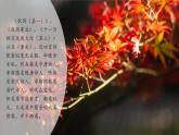 【新教材核心素養(yǎng)】部編人教版語文七上第六單元 課外古詩詞 秋詞（其一）課件+教學(xué)設(shè)計+素材