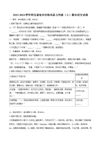 2023-2024学年河北省沧州市海兴县七年级（上）期末语文试卷（含详细答案解析）
