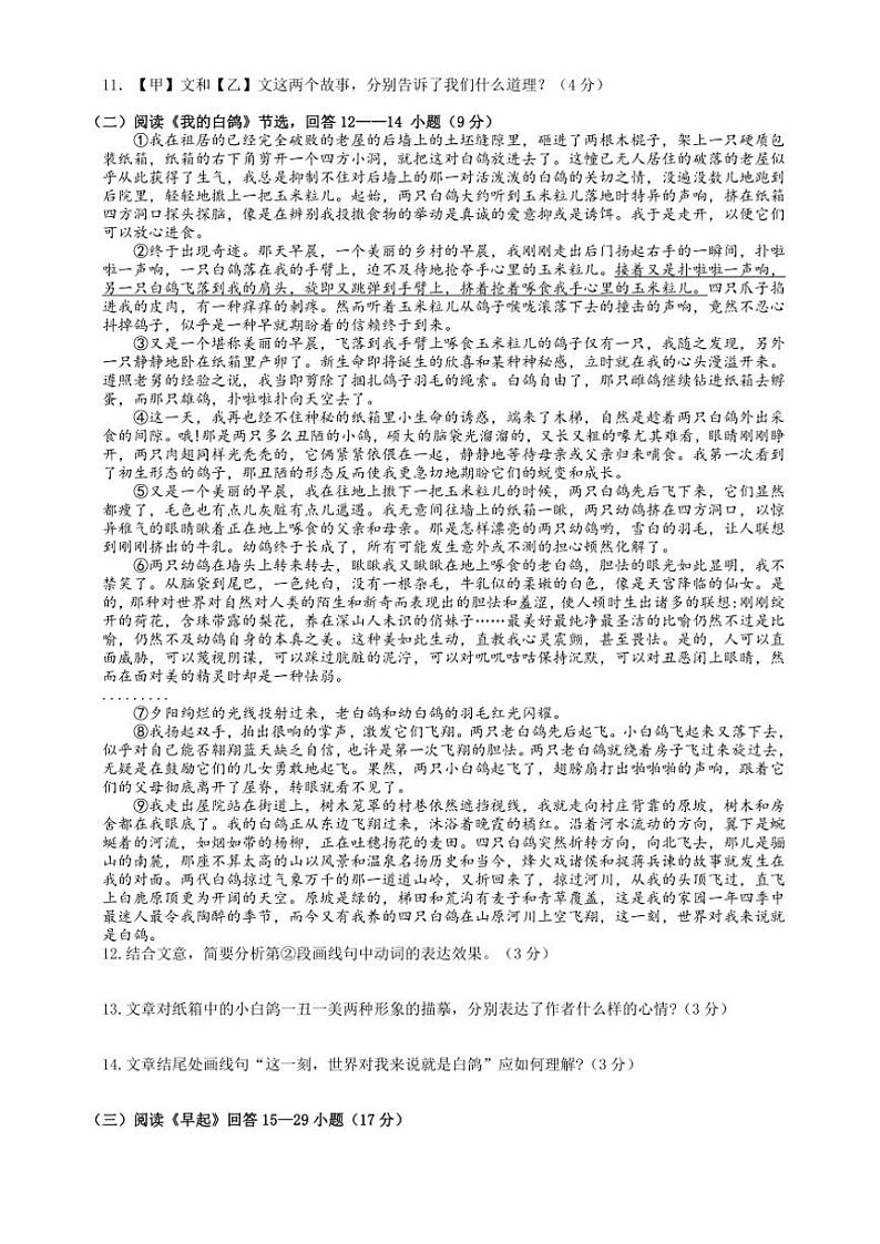 2024～2025学年山东省枣庄市东方学校七年级(上)第二次月考语文试卷(含答案)第3页