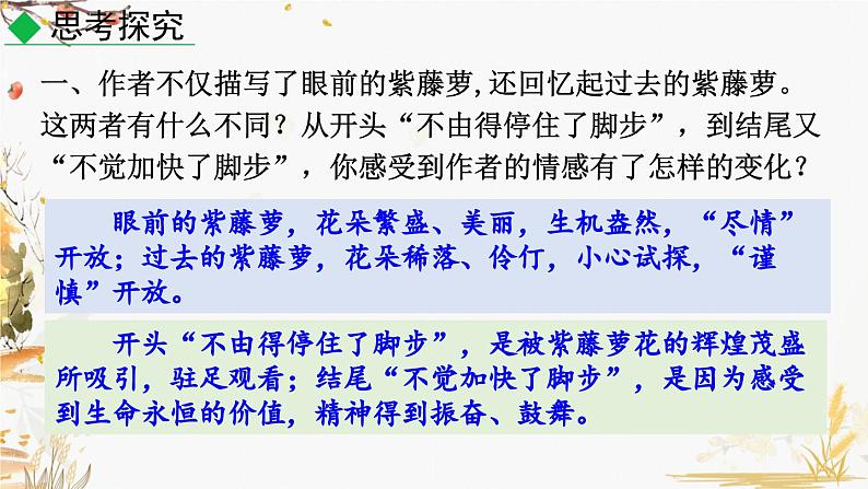 18 紫藤萝瀑布第2页