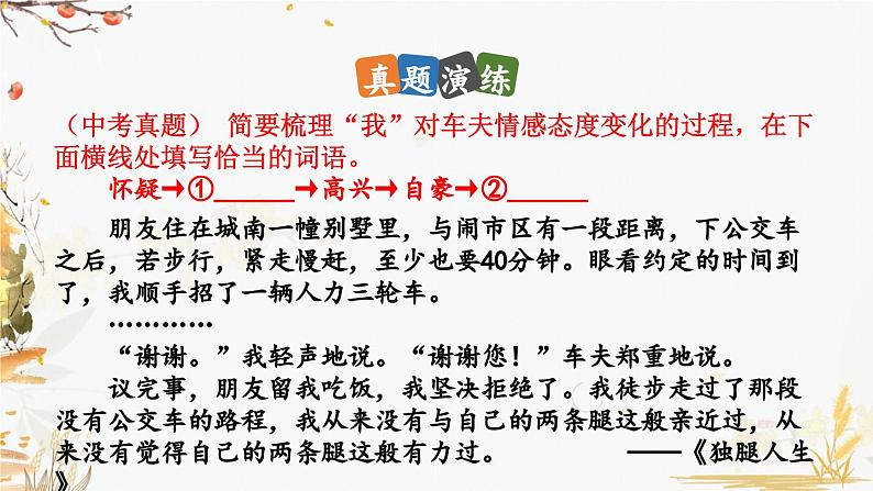 18 紫藤萝瀑布第6页