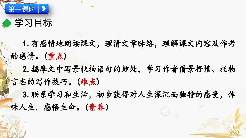 18  紫藤萝瀑布第3页