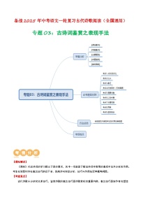 专题03：古诗词鉴赏之表现手法精练-备战2025年中考语文一轮复习古代诗歌阅读（全国通用）